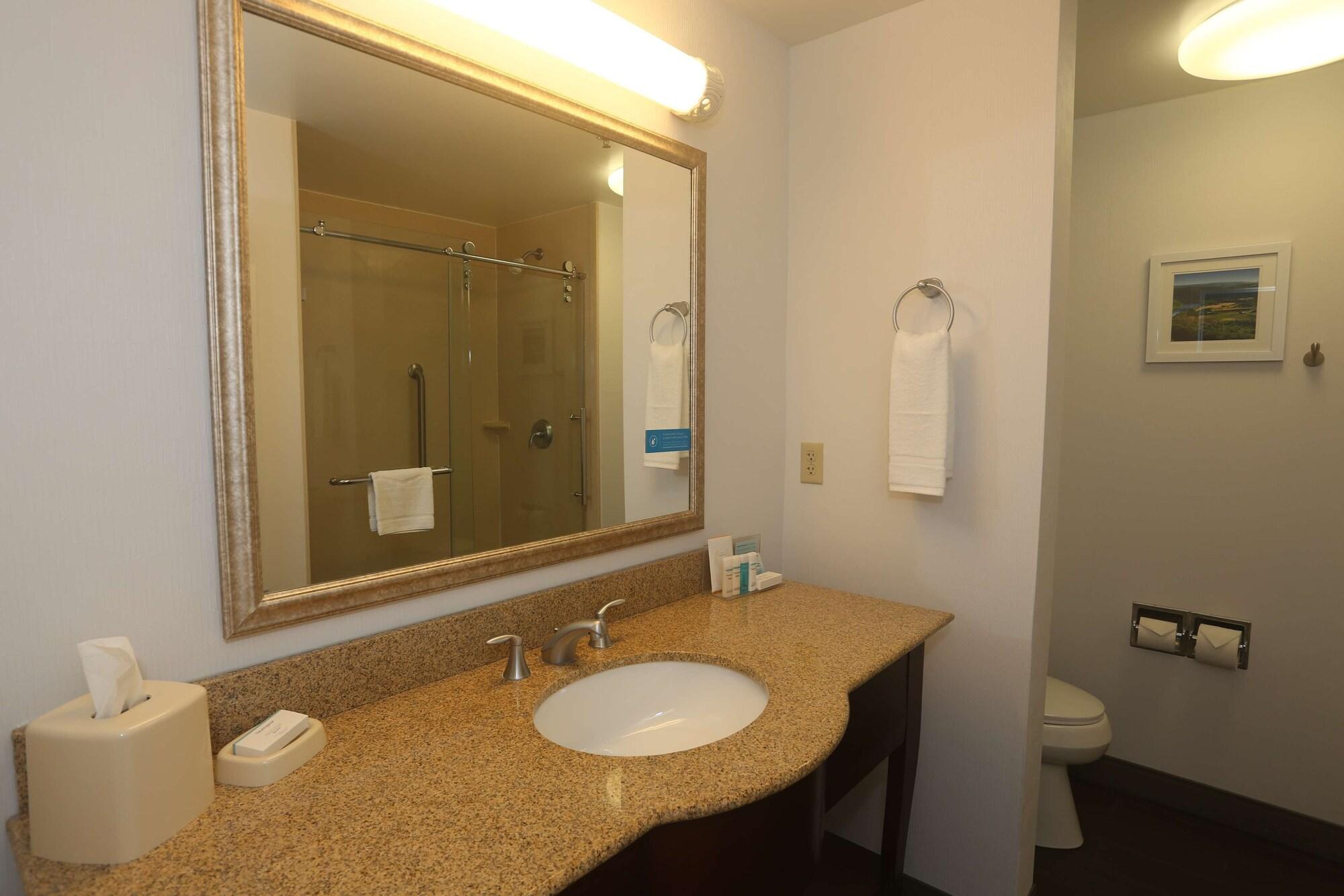 Hampton Inn Owego מראה חיצוני תמונה