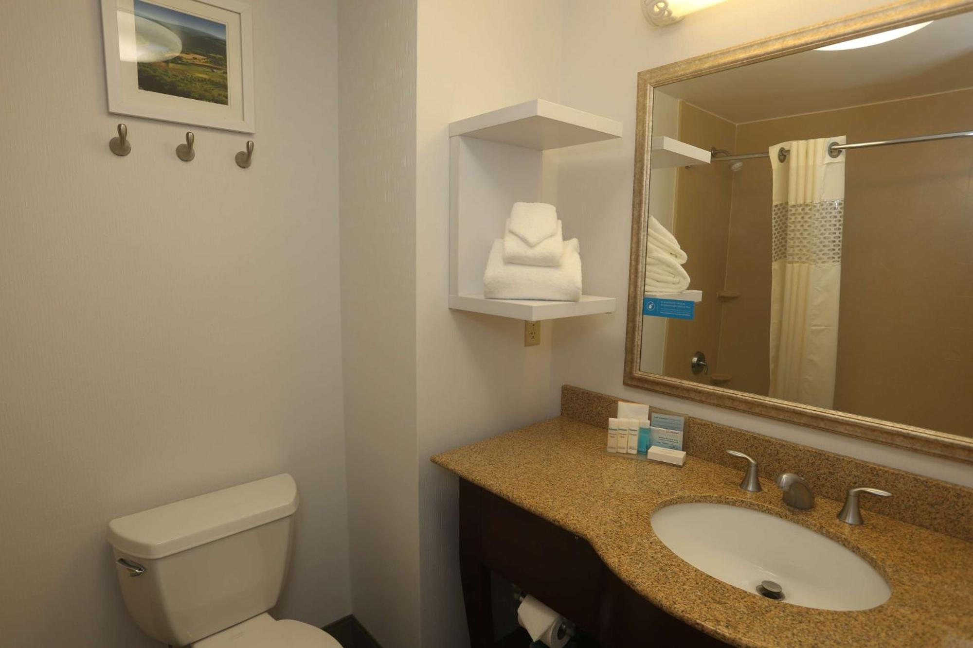 Hampton Inn Owego מראה חיצוני תמונה